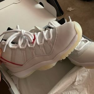 Platinum Tint Jordan